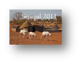 SENEGAL 2011