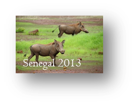 SENEGAL 2013